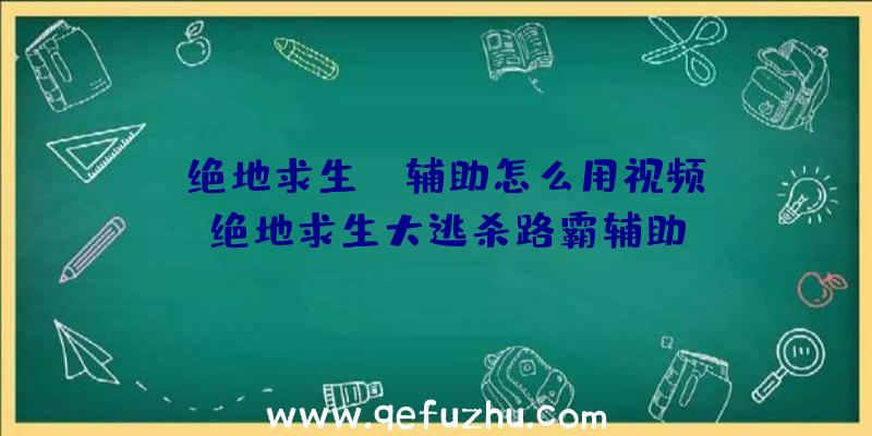 「绝地求生jr辅助怎么用视频」|绝地求生大逃杀路霸辅助